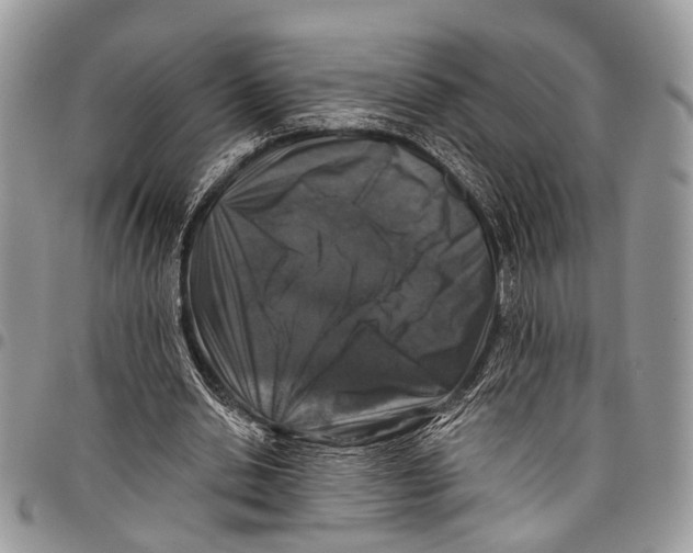 X0000097790438200803281726