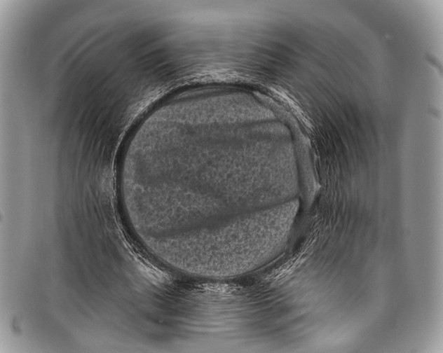 X0000097790439200803281726