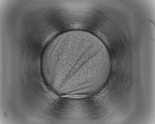X0000097790442200803281726