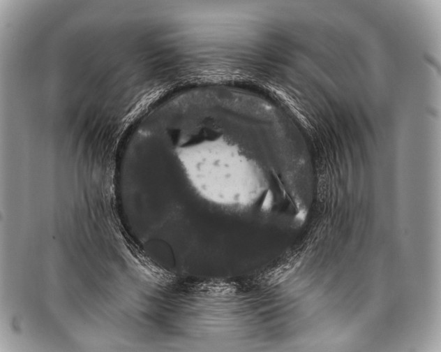 X0000097790443200803281726