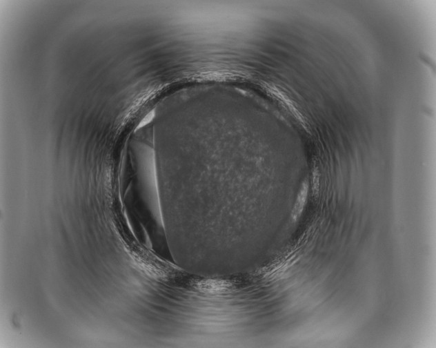 X0000097790444200803281726