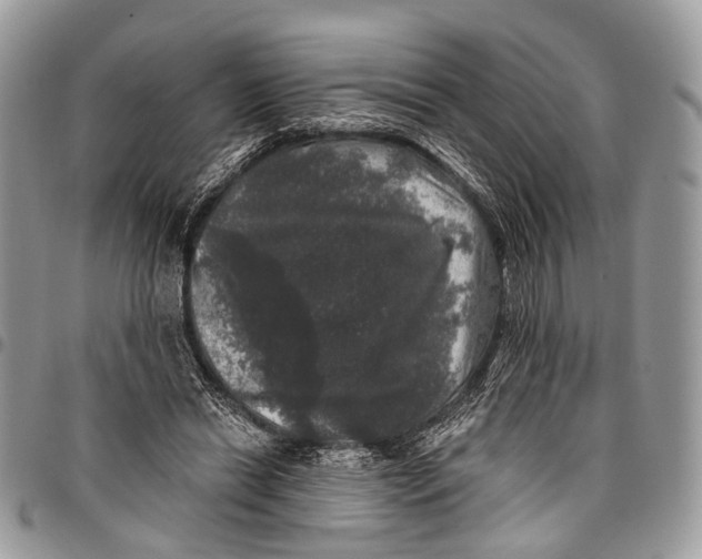 X0000097790446200803281726