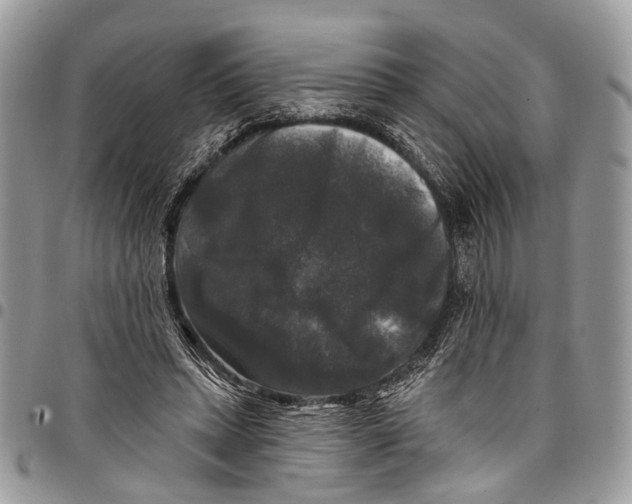 X0000097790447200803281726