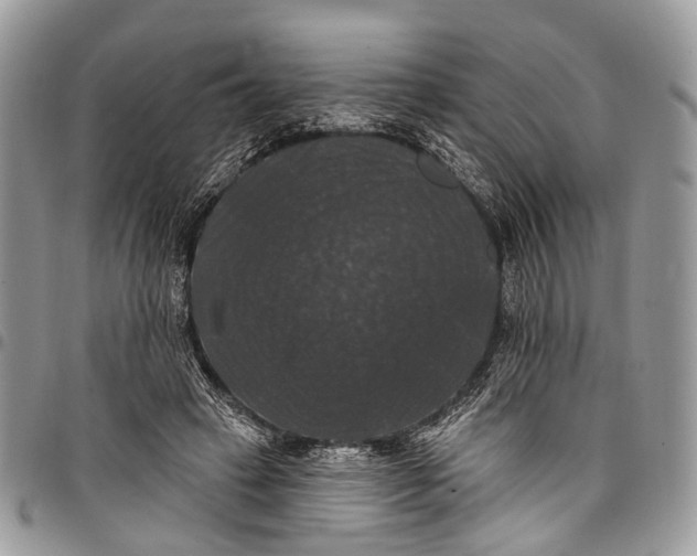 X0000097790449200803281727