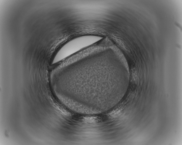 X0000097790450200803281727