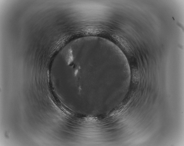 X0000097790451200803281727