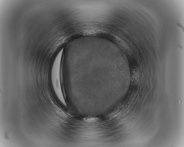 X0000097790452200803281727