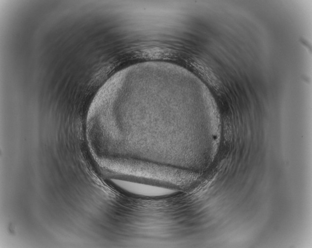 X0000097790453200803281727