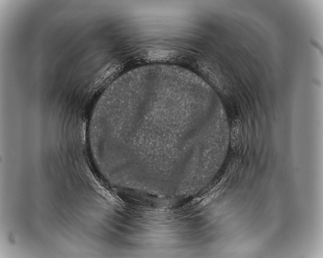 X0000097790454200803281727