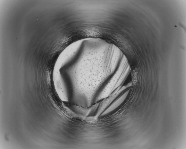 X0000097790456200803281727