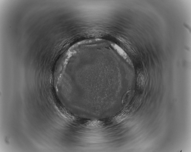 X0000097790459200803281727