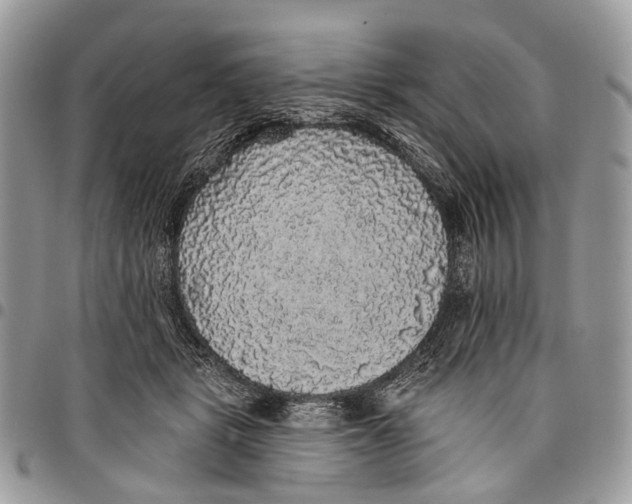 X0000097790461200803281727