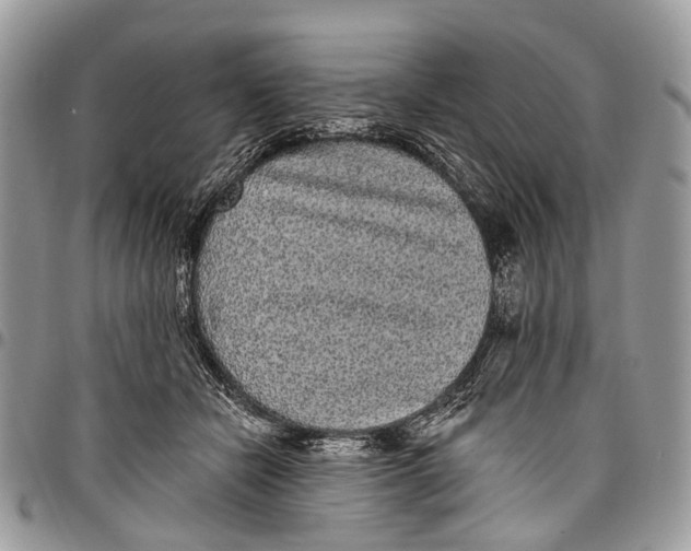 X0000097790462200803281727