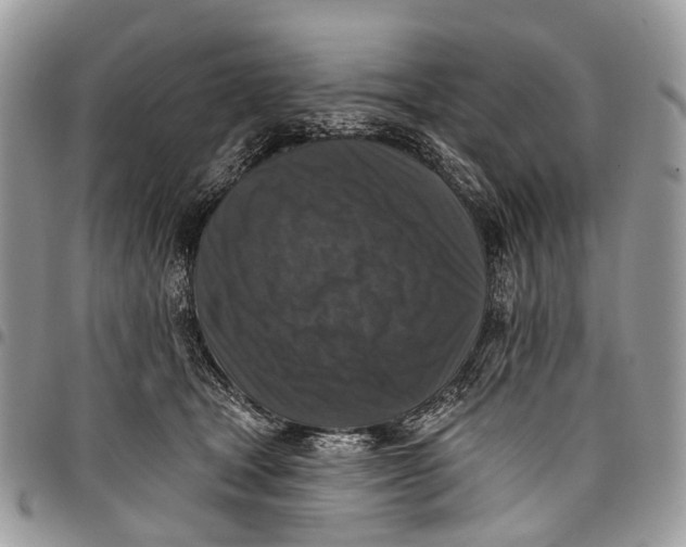X0000097790465200803281727