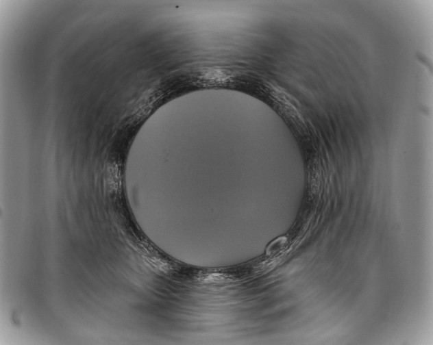 X0000097790467200803281727