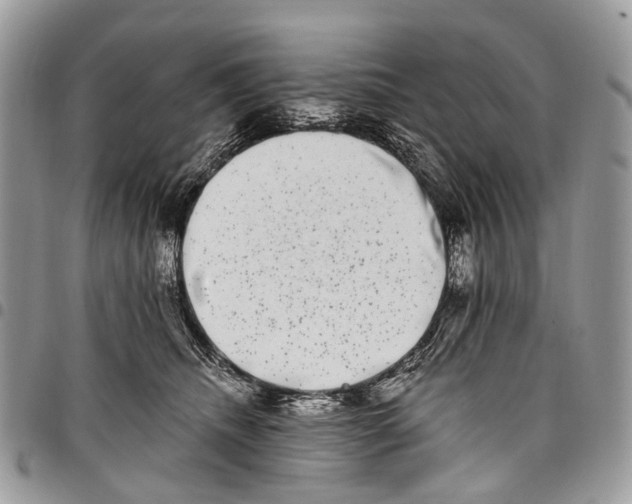 X0000097790468200803281727