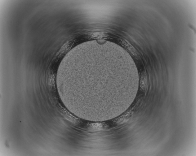 X0000097790473200803281727