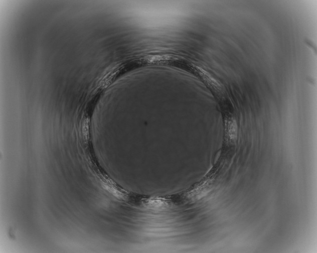 X0000097790475200803281727