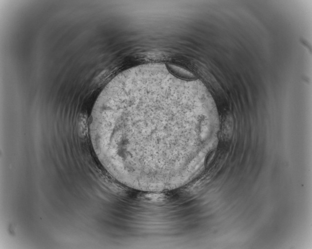 X0000097790478200803281727