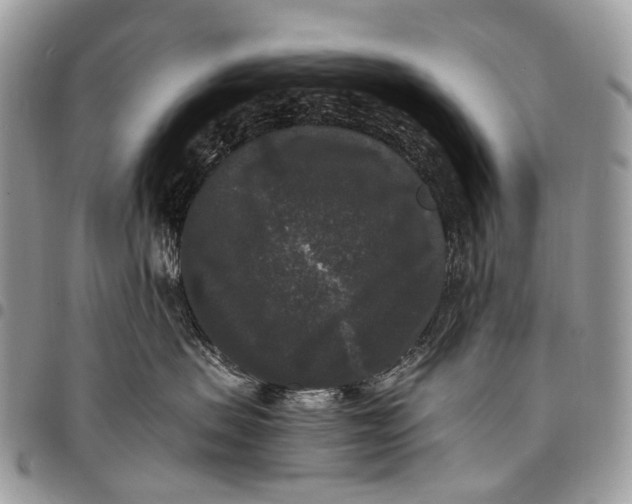X0000097790479200803281727