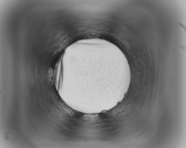 X0000097790480200803281727