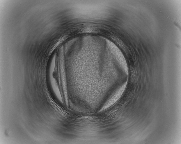 X0000097790482200803281726