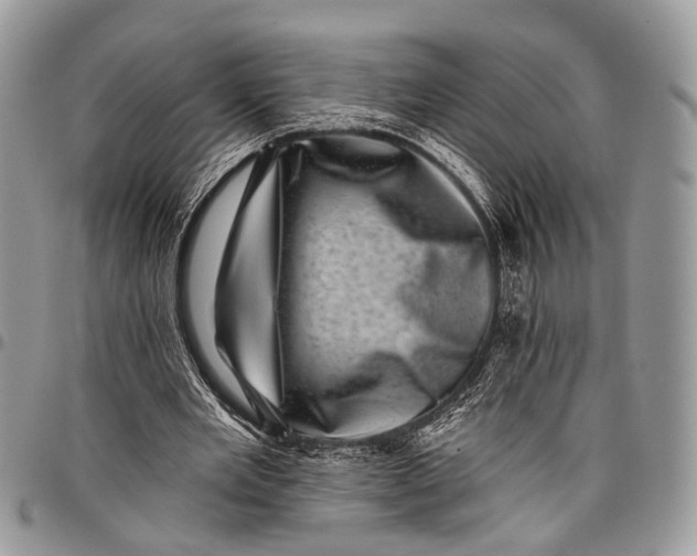 X0000097790485200803281726
