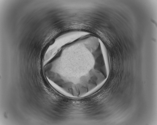 X0000097790486200803281726