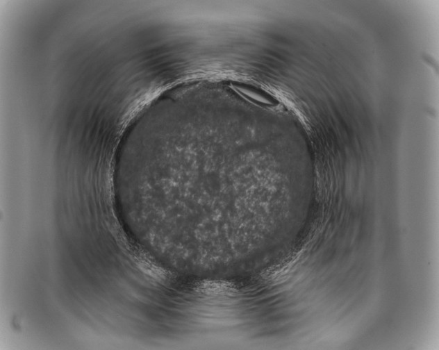 X0000097790487200803281726