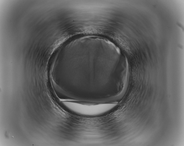 X0000097790488200803281726