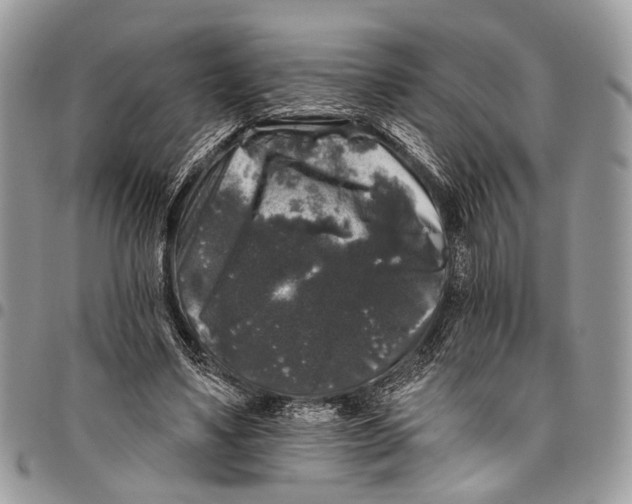 X0000097790491200803281726