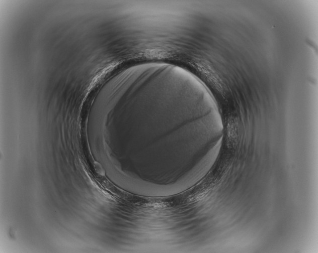X0000097790492200803281726