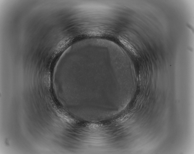 X0000097790494200803281726