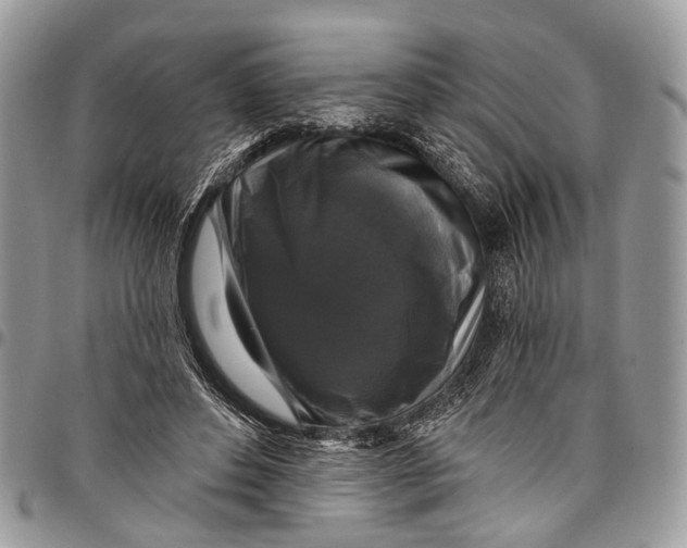X0000097790496200803281726