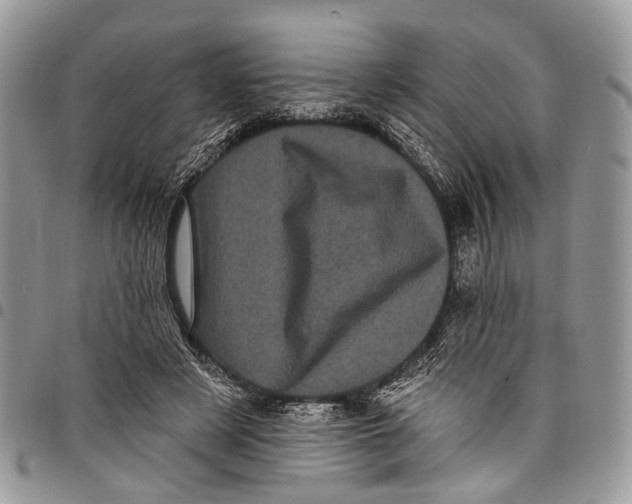 X0000097790497200803281726