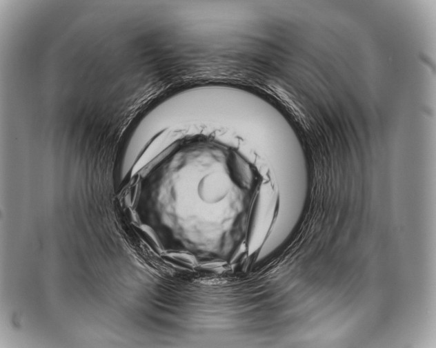 X0000097790500200803281726
