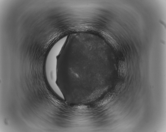 X0000097790501200803281726