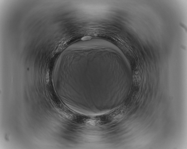 X0000097790504200803281726
