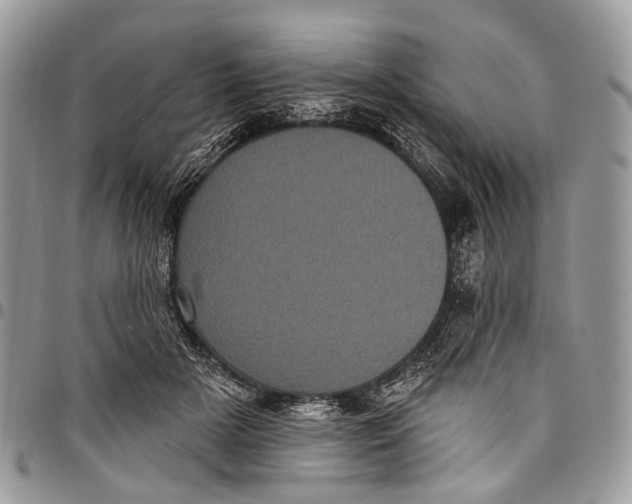 X0000097790505200803281726