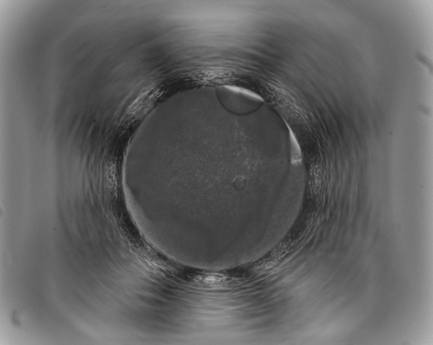 X0000097790506200803281726