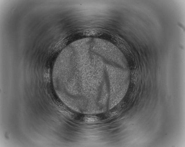 X0000097790510200803281726