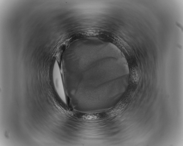 X0000097790512200803281726
