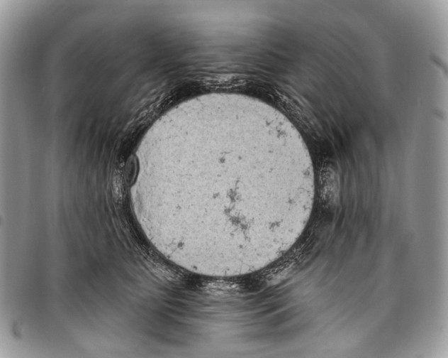 X0000097790515200803281726