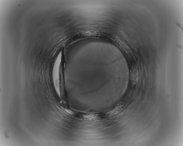 X0000097790516200803281726