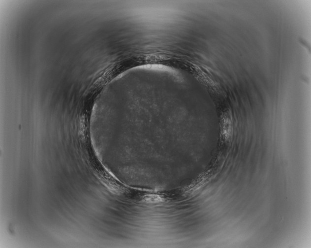 X0000097790519200803281726
