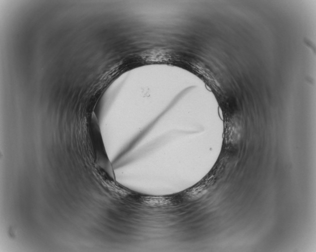 X0000097790521200803281726