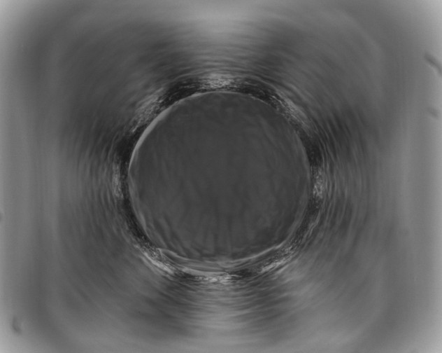 X0000097790524200803281726