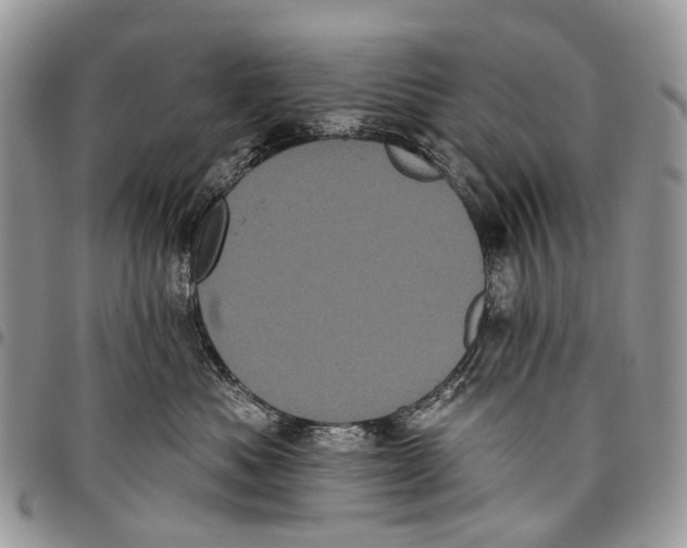 X0000097790525200803281726