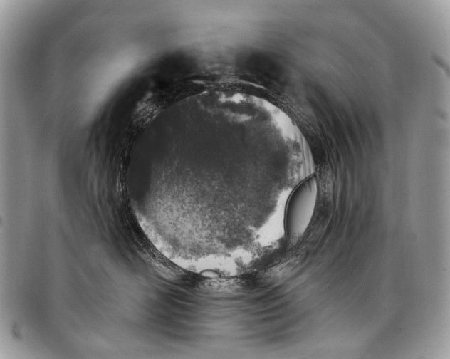 X0000097790526200803281726