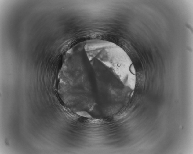 X0000097790527200803281726
